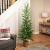 Northlight Medium Norfolk Pine Artificial Potted Christmas Tree - 6’ - Unlit - 2 of 4