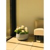 Rosemead Home & Garden, Inc. 16" Wide Kante Lightweight Outdoor Concrete Oval Bowl Decorative Planter Slate Gray: Modern Patio Decor - 2 of 4