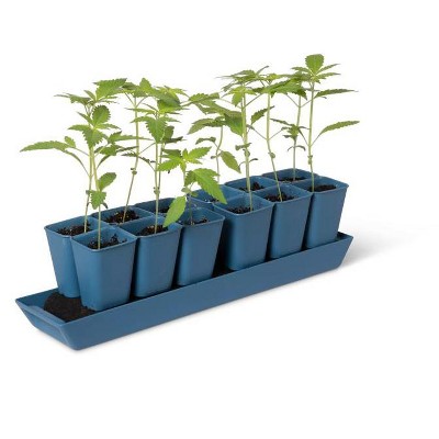 Gardener's Supply Company Gardener's Best® XL Seed Starting Kit | Durable and Reusable Self-Watering Deep Root Seed Starting Tray For Quick