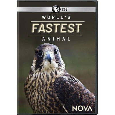 Nova: The World's Fastest Animal (DVD)(2019)