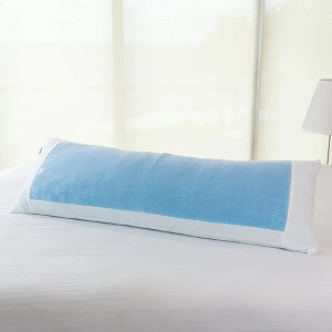 Dr Pillow Dream Support Body Pillow Cases set of 2 - 1 of 4
