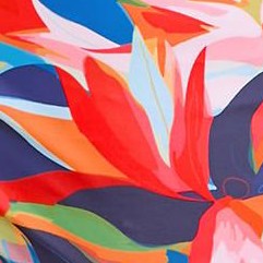 colorful leaves
