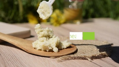 Moisturizing Shea Butter Body Lotion with Coconut & Lemongrass