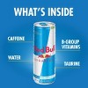 Red Bull Sugar Free Energy Drink - 4pk/8.4 fl oz Cans - image 3 of 4