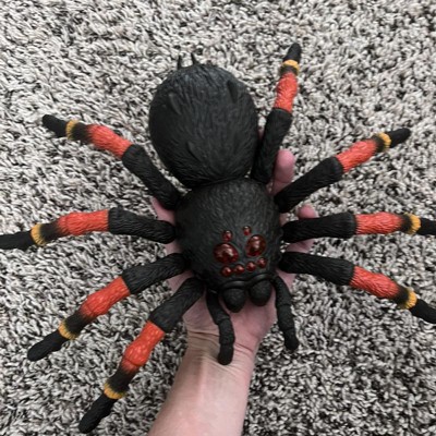 Robo alive hot sale spider review