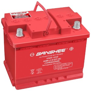 Banshee Group 47 Automotive Starting AGM 12 Volt Battery - 1 of 1