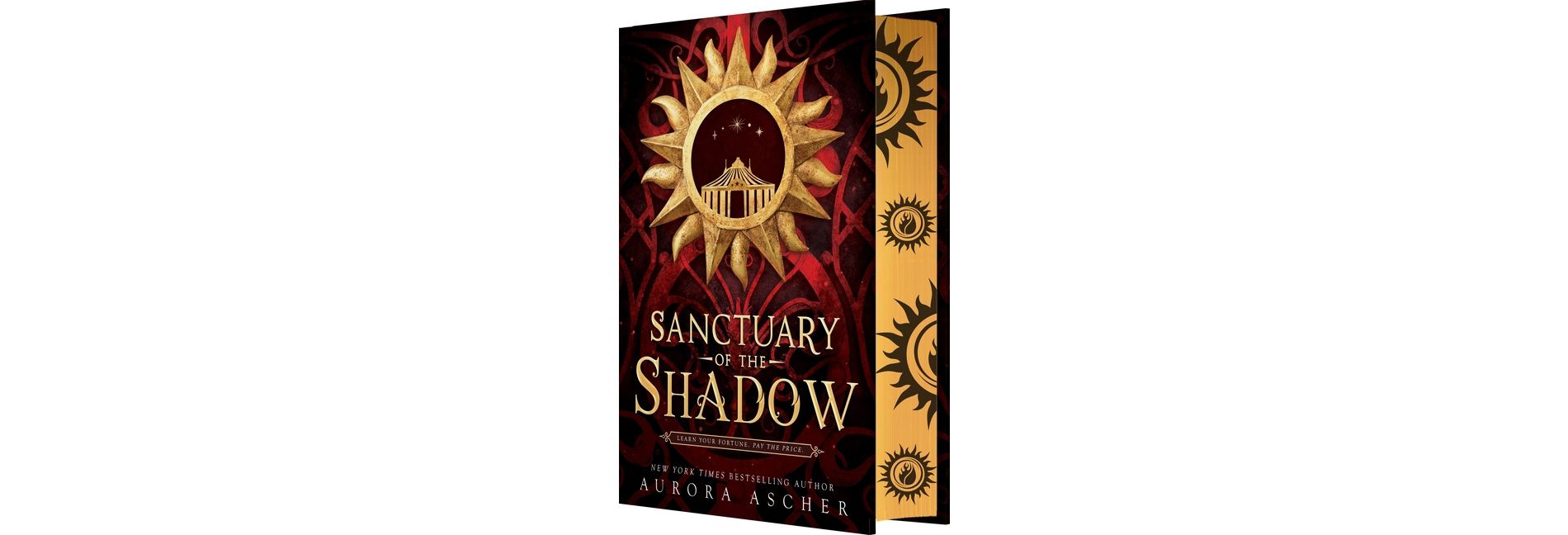 Sanctuary of the Shadow - by  Aurora Ascher (Hardcover)