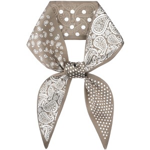 INSPIRE CHIC Women's Paisley Polka Dots Pattern Skinny Long Satin Silky Ribbon Neck Scarves 1Pc - 1 of 4