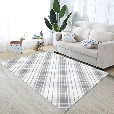 Modern Checkered Rug, Washable and Non-Slip, Thin and Foldable Printed Rug, SSoft Non Shedding Low Pile Floor Covering, Neutral Geometric Rug