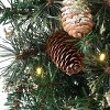 National Tree Company 9 ft. Golden Bristle Garland with Clear Lights - 4 of 4