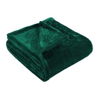 Cozy and Warm Microfiber Fleece Blanket - Blue Nile Mills