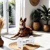 19'' Adjustable Elevated Pet Bowl for Dogs And Cats,Travel Ready Feeder with Recycled Poly Lumber,Durable And Collapsible–LAOTIES - 2 of 4