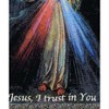 Tapestry Throw The Divine Mercy with Words – 50×60 inch in Cotton by Manual Woodworkers r Sofa and Weavers - 2 of 3