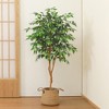 DR.Planzen 5-7FT Artificial Ficus Tree with Black Pot, Realistic Faux Plants Indoor Outdoor Large Fake Tree for Home Decor - 3 of 4
