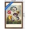 Trends International Tulips from the The Temple of Flora Framed Wall Poster Prints - 3 of 4