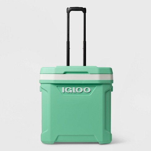 Igloo Mint Green Mini Essential Insulated Lunch Tote, Best Price and  Reviews
