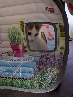 POP-UP CAMPER PLAY SPACE ​by KONG CAT TOYS