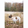 Country Brook Design® Deluxe Dog Collar - Awesome Autumn Collection - Made In The U.S.A. - 3 of 4
