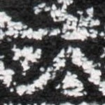 black/ivory