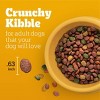 Pedigree Grilled Steak and Vegetable Flavor Adult Dry Dog Food - 18lbs - 3 of 4