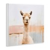 Stupell Industries Rustic Llama Portrait Wall Plaque Art, 12" x 12" - 2 of 4