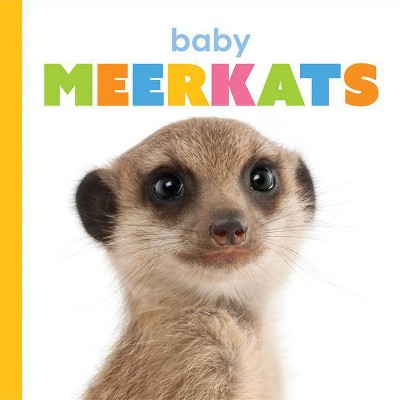 Baby Meerkats - (Starting Out) by  Kate Riggs (Paperback)