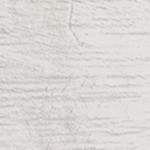 montalcino elm