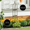 Evergreen Garden 5 ft Metal Garden Obelisk Trellis for Climbing Plants Vines, Clematis & Flowers | Floral Pattern Arch Trellis (Antique Copper) - 2 of 4