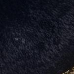 black gold
