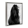 Stupell Industries Black Stallion Horse Portrait Floating Frame Canvas Art - 2 of 4