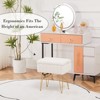 KTMBDW Vanity Stool Chair with Storage, Ottoman Faux Fur Soft Padded Makeup Footstools Seat with 4 Metal Legs for Home Entryway Bedroom - 4 of 4