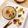 Wrapables Decorative Fall Leaves Washi Tape Stickers Colorful Autumn Leaves for Scrapbooking, Stationery, Diary, Card Making, Arts & Crafts, 4 Rolls - 3 of 4