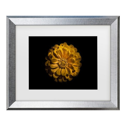 Trademark Fine Art - Brian Carson Backyard Flowers 58 Matted Framed Art - image 1 of 4