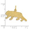 Black Bow Jewelry 14k Yellow Gold Flat Textured Tiger Charm or Pendant, 25mm (1 Inch) - 4 of 4