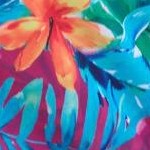 hula palm