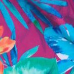 hula palm