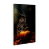 Stupell Industries Bewitching Gaze of Owl Canvas Art - 2 of 4