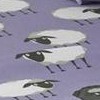 sheep lavender