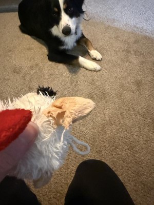 Guest review image 3 of 3, zoom in