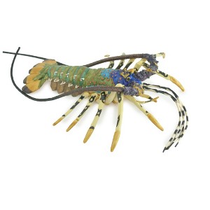 Lobster, Pacific, Australian, Crustaceans, Hand Painted, Museum Quality, Rubber, Realistic, Toy, Kids, Model, Gift,  12 Inches. CH1001 BB219 - 1 of 4