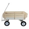 CAVINAS Outdoor Heavy-Duty Garden Cart with Adjustable Handle,Shopping Cart Utility Carts for Grocery, Sports, Garden - 3 of 4