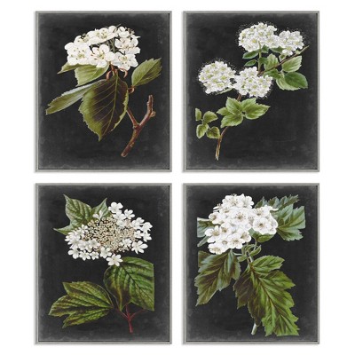 Stupell Industries Charming Cottage Florals over Charcoal Grey 4pc Framed Giclee Set