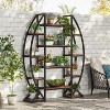 Tribesigns 5 Tier Plant Stand, Half-Moon Shaped Large Plant Shelf, Curved Oval Flower Pot Rack for Living Room, Balcony, Patio, Garden - 4 of 4
