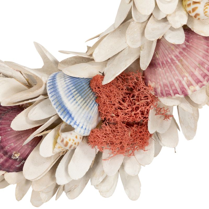 Northlight Artificial Seashells Wooden Wreath - 13" - White, 3 of 6