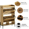Nasitip Freestanding 2 Flip Drawer Shoe Cabinet, Narrow Entryway Organizer with Metal Legs & Hidden Storage, 48.4" Tall - 4 of 4