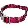 Country Brook Petz Premium Dog Collar - Affection Collection - 2 of 4