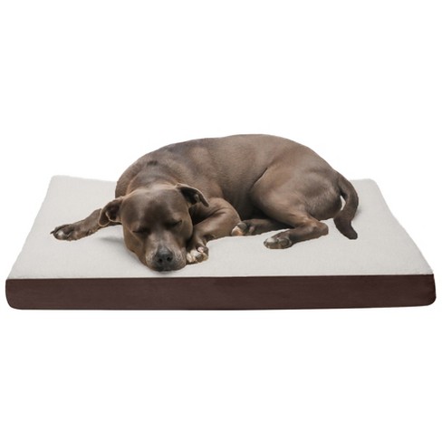 Dog cooling hot sale mat target