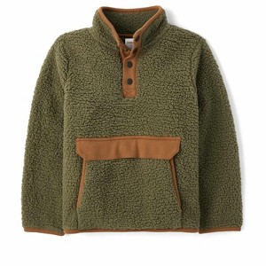 Gymboree Boys Active Long Sleeve Half Snap Sweatshirt - Highland Hills - 1 of 4