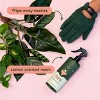 Houseplant Leaf Health Kit - WE THE WILD - 2 of 4
