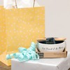 Pavilion Gift Company - Eat & Drink - 4.5" Ceramic Bowl with Bamboo Spoon - Dining Bowls - 3 of 4